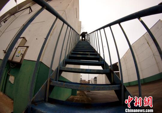 中央儲備糧江西泰和直屬庫有限公司保管員在倉庫巡查?！⊥蹶魂?攝